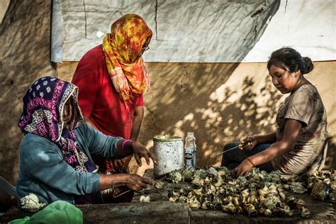 An Intimate Look at Mexico’s Indigenous Seri People - The New York Times