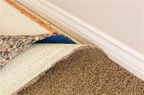 Mold – Does it Lurk Beneath Your Carpet?