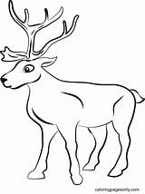 Printable Reindeer Coloring Page  Free Pages sketch template