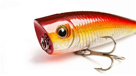 7 Essential Saltwater Fishing Lures That Catch Fish Pretty Much Anywhere!