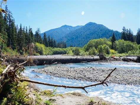 The Hoh River | Smithsonian Photo Contest | Smithsonian Magazine