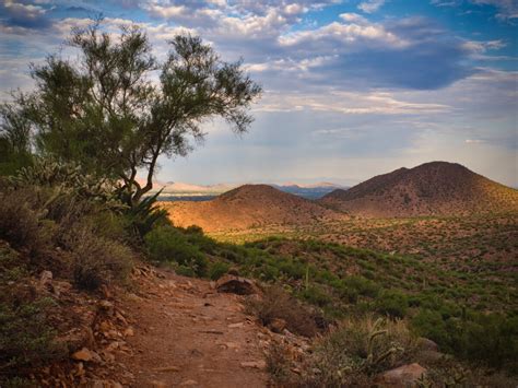 Sunrise - McDowell Sonoran Conservancy