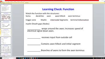 Answered: Match the function with the structures:… | bartleby