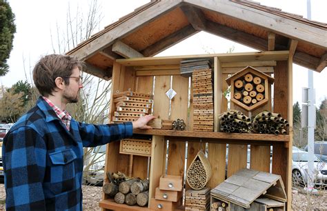 Diy Mason Bee House Plans