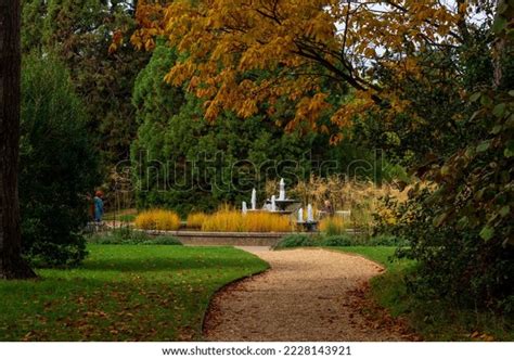 42 Cambridge University Botanic Garden Autumn Images, Stock Photos, 3D ...