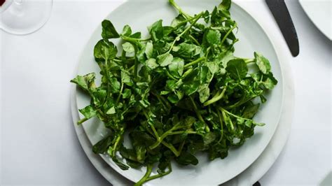 Beauty Benefits of Watercress You Should Know ASAP!