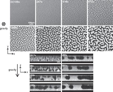 Figure 1 from Spinodal decomposition of a confined colloid-polymer system. | Semantic Scholar