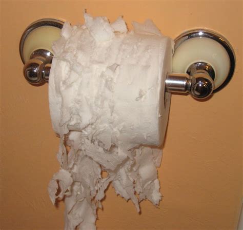 MUSIC, ASIAN CINEMA & LIFE IN GENERAL: SHREDDED TOILET PAPER AGAIN? WHAT?