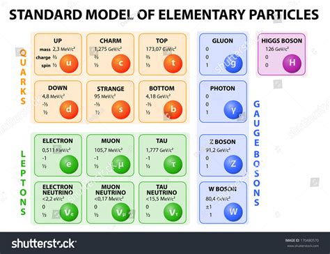 最佳 Elementary particles scheme 免版税图片、库存照片和图像 | Shutterstock