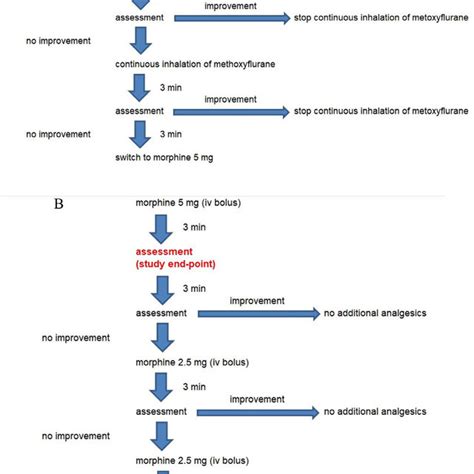 (A) The pathway of analgesic treatment in methoxyflurane arm. (B) The... | Download Scientific ...