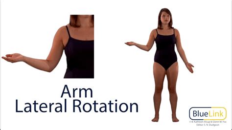 Arm Medial and Lateral Rotation - YouTube