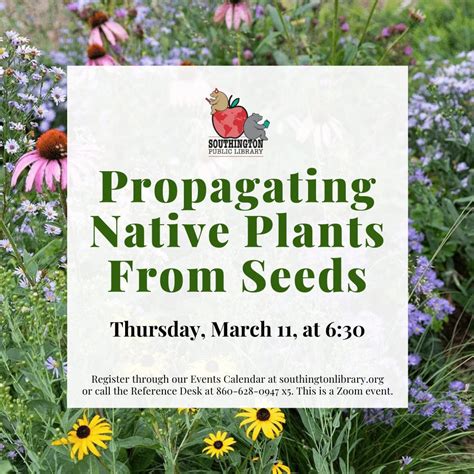 Mar 11 | Propagating Native Plants From Seeds | Southington, CT Patch