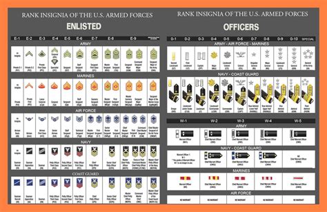 U.S. Military Rank Insignia (Enlisted & Officer) : coolguides