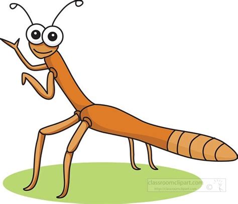 Insect Clipart-big eyed stick insect clipart