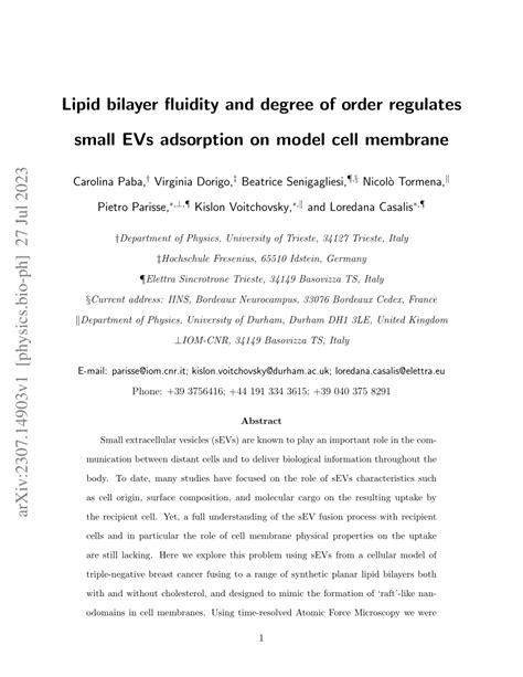 (PDF) Lipid bilayer fluidity and degree of order regulates small EVs ...