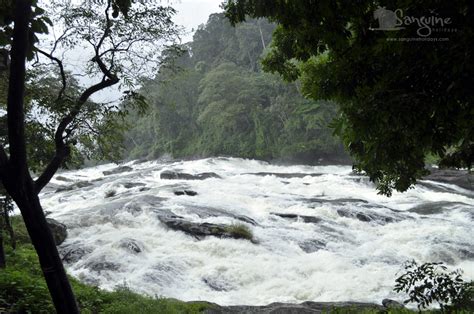 Athirapally Water falls tour