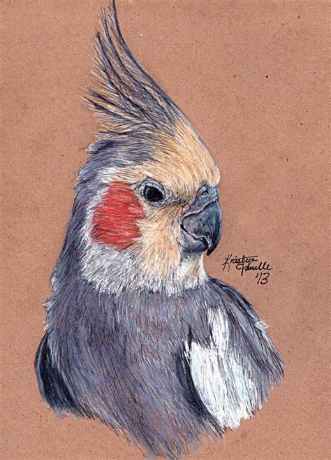 Cockatiel by KristynJanelle on deviantART in 2023 | Bird drawings, Parrots art, Animal paintings