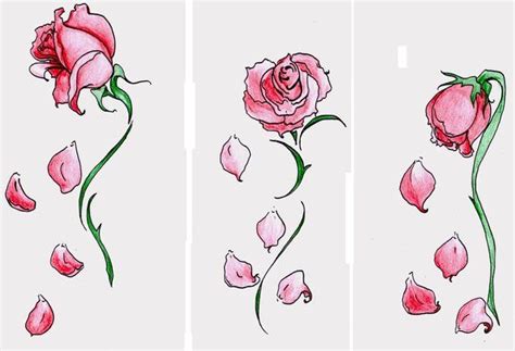 Falling petals tat idea | Roses drawing, Rose sketch, Rose petals falling