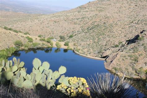 14 Best Things to Do in Thatcher (AZ) - The Crazy Tourist