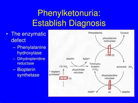 PPT - Newborn Screening in Washington PowerPoint Presentation, free download - ID:420066