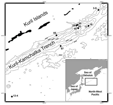 A new predator connecting the abyssal with the hadal in the Kuril-Kamchatka Trench, NW Pacific ...