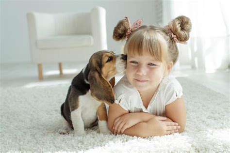 Low Maintenance Pets For Kids Sometimes It's Nice To Have Pets Where We Work.