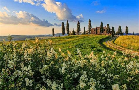 Tuscany, Italy | Tuscany landscape, Tuscany italy, Tuscany travel