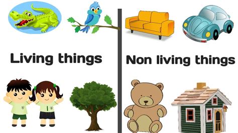 Clipart Living And Non Living Things