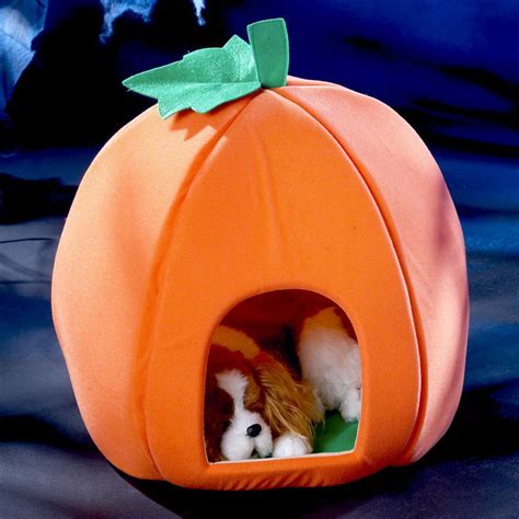 Pumpkin Pet House - The Green Head