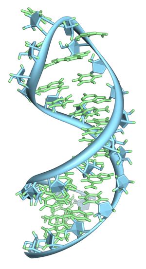 Tertiary Structure Of Rna