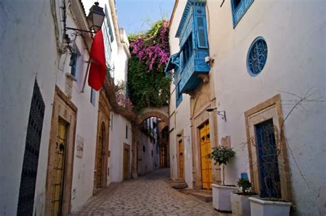 Tunis Port: Medina and City Tour for Cruise Ship Passengers | GetYourGuide