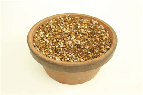 Bonsai Soil Premium Mix - ALL THINGS BONSAI