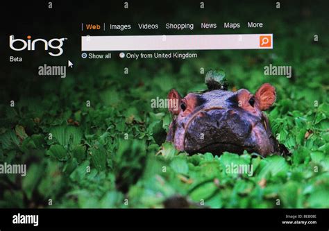 Bing Website Stock Photos & Bing Website Stock Images - Alamy