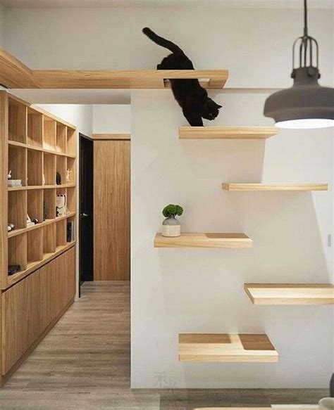 35+ Adorable Cat House Pets Design Ideas - BrowsyouRoom | Cat wall ...