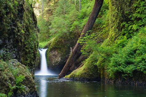 State of Oregon: Historic Columbia River Highway - Punch Bowl Falls