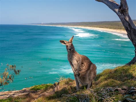 Why you should visit North Stradbroke Island