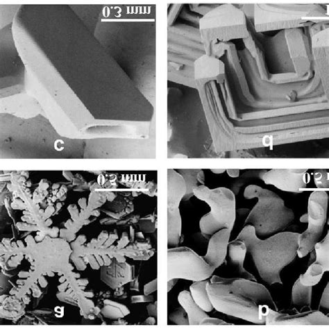 1: Examples of snow crystals: a. Stellar snow crystal, b. Rounded snow ...