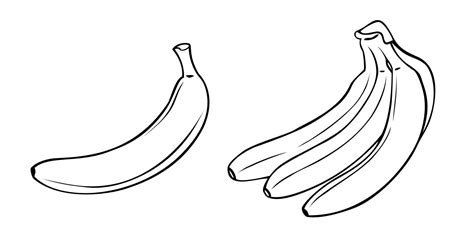 A set of monochrome pictures, A bunch of ripe bananas, odon banana, vector illustration on a ...