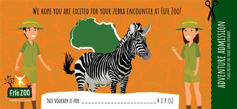 Fife Zoo Zebra Encounter Voucher