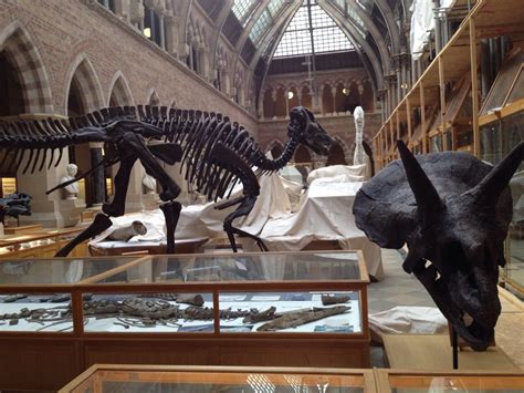 Oxford Natural History Museum #dinosaurs | Natural history, Museum, History