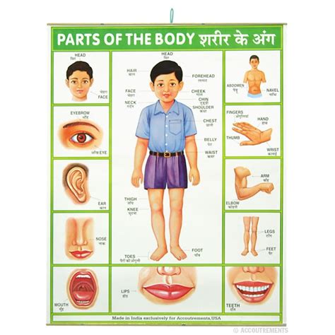 Pin on moral science posters india