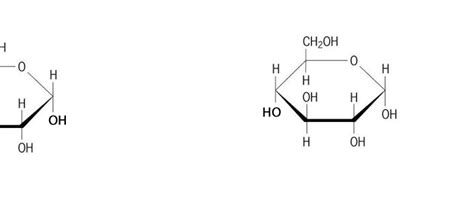 Draw A Condensation Reaction