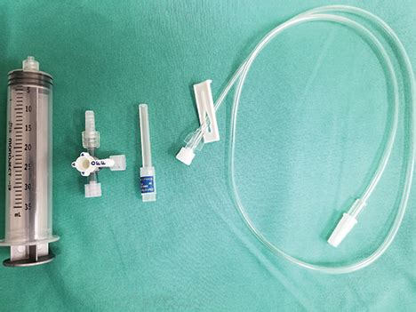 Guide to Performing Cystocentesis in Dogs & Cats | Clinician's Brief