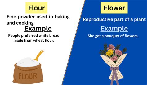 Flour vs. Flower-Difference between and examples