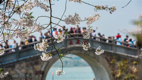 Domestic trips boom during China's Qingming Festival in 2019 - CGTN