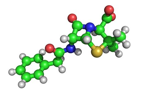 Gohalfsies.com | Protein biochemistry | The main differences in the ...