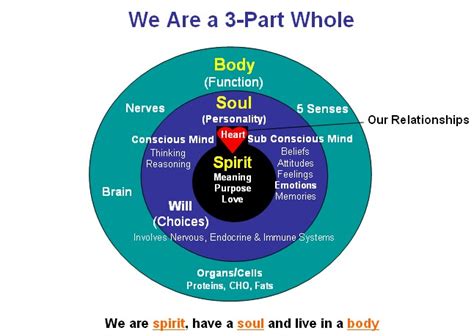 Spirit – Mind – Body. Nothing Happens in Isolation!