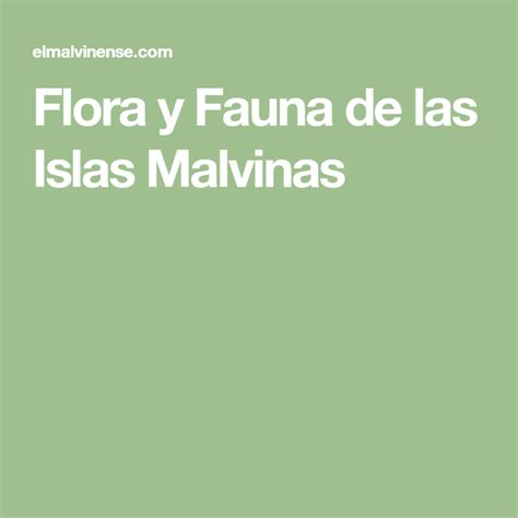 Flora y Fauna de las Islas Malvinas Fauna, Humpback Whale, Blue Whale, Elephant Seal, 7 Sins