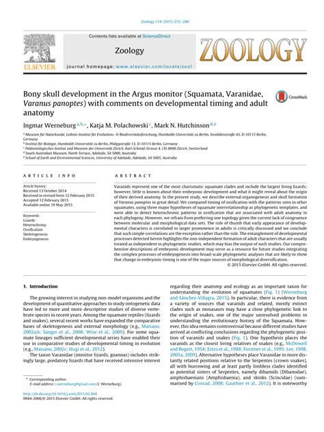 (PDF) Bony skull development in the Argus monitor (Squamata, Varanidae ...