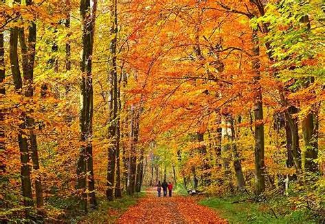 Trumbull Marriott Merritt Parkway | Fall foliage tour, Autumn scenery, Fall in connecticut